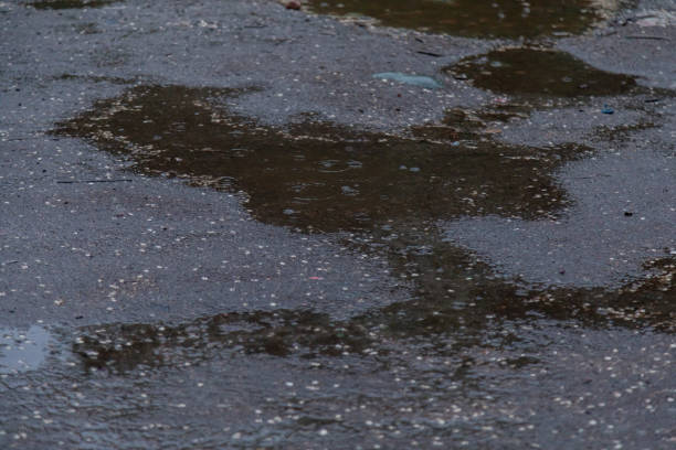 Rain drops on the water surface. Autumn time