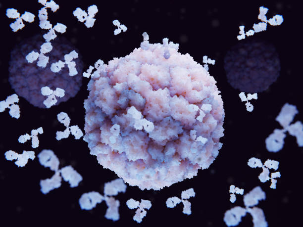 istock Antibodies binding to rhinovirus 1397570136