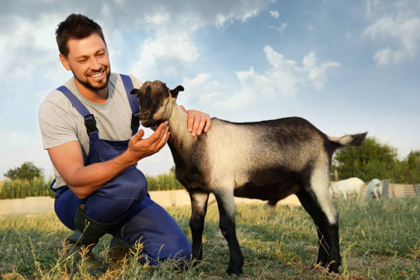 istock Farmer with cute goatling outdoors. Baby animal 1397570895
