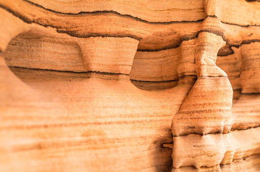 Shapes in the patterened rock strata at Zion National Park in southern Utah, created by wind erosion.