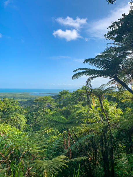 istock Daintree River tour in Queensland, Australia 1397572716