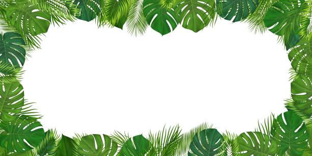 istock Summer tropical background with green palm leaves. Exotic botanical design with jungle plants for invitation, banner, poster. Vector illustration 1397576493