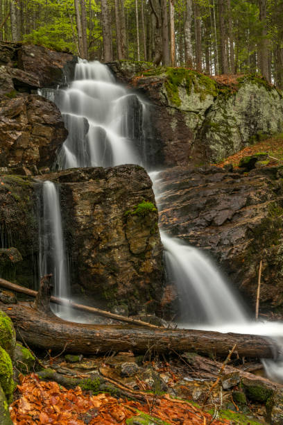 istock Geigenbachfalle waterfall near Groser Arber hill in Germany 1397580449