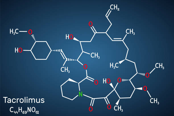 illustrations, cliparts, dessins animés et icônes de tacrolimus, fk-506 ou molécule de fujimycine. c’est un puissant agent immunosuppresseur. formule chimique structurale sur fond bleu foncé - fujimycin