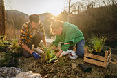 istock Young couple planting plants in their garden by the river 1397584031