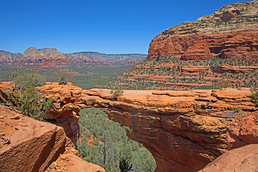 Arch in Zion National Park Panoramic