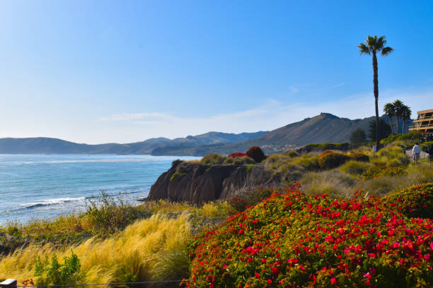 impresionante costa de california con una entrada de océano azul brillante con plantas coloridas y un paisaje natural de buganvillas - california coastline beach cliff fotografías e imágenes de stock