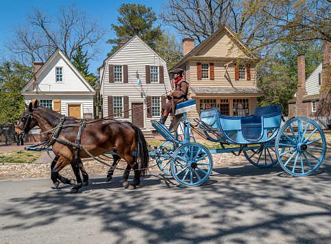 Williamsburg, Virginia, USA: April 13 2019; Actor driving a beautiful horse and carriage on a street in historic colonial Williamsburg