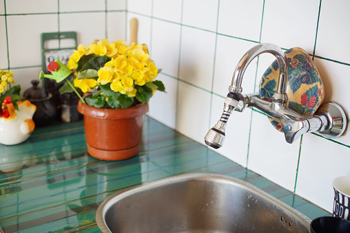 Kitchen detail with a sink and a flowerpot.