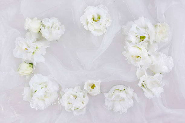 fleurs blanches d’eustome, lisianthus, sur fond de tissu de soie blanche - southwest usa floral pattern textile textured photos et images de collection