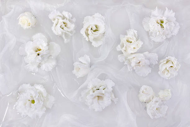 fleurs blanches d’eustome, lisianthus, sur fond de tissu de soie blanche - southwest usa floral pattern textile textured photos et images de collection