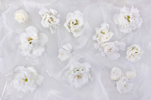 белые цветки эустомы, лизиантус, на фоне белой шелковой ткани - southwest usa floral pattern textile textured стоковые фото и изображения