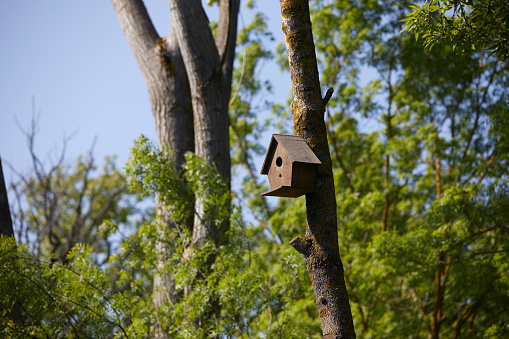 a wooden bird house hanged on a tree inside the forest