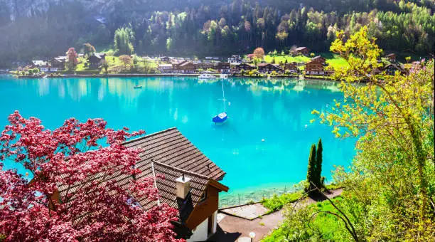Stunning idylic nature scenery of mountain lake Brienz . Switzerland, Bern canton. Iseltwald village surrounded turquoise waters