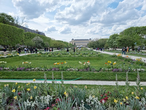 The Jardin des Plantesis the main botanical garden in France. Inside the Garden are the Headquarters of the Muséum national d'histoire naturelle (National Museum of Natural History) situated. The Jardin des plantes is located in the 5th arrondissement, Paris. The image was captured durin springtime.