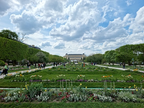The Jardin des Plantesis the main botanical garden in France. Inside the Garden are the Headquarters of the Muséum national d'histoire naturelle (National Museum of Natural History) situated. The Jardin des plantes is located in the 5th arrondissement, Paris. The image was captured durin springtime.