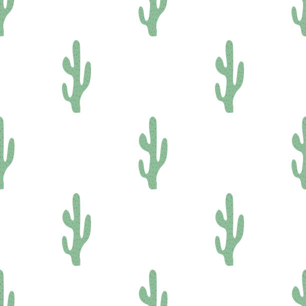 ilustraciones, imágenes clip art, dibujos animados e iconos de stock de lindo patrón de cactus dibujados a mano. símbolo mexicano. tema del salvaje oeste. impresión vectorial de moda coloreada a mano. - abstract backgrounds botany cactus