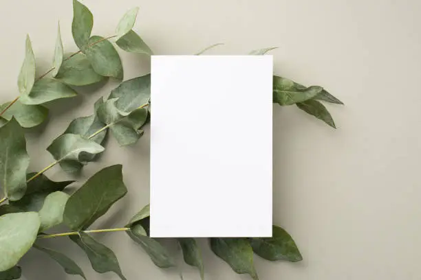 Photo of Business concept. Top view photo of paper sheet over eucalyptus on pastel grey background with blank space