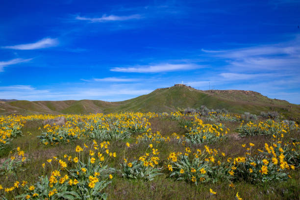 istock Table Rock mountain in the Boise foothills 1397594653