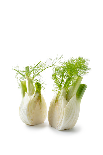 Fresh, organic fennel on a white background, front view