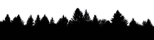 istock Black forest silhouette cut out on white background, template for design. 1397598049