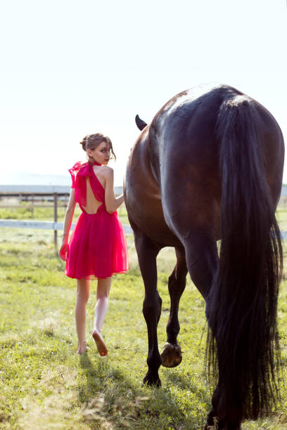 retrato de una encantadora joven con un vestido con un caballo. - couple sensuality embracing macho fotografías e imágenes de stock
