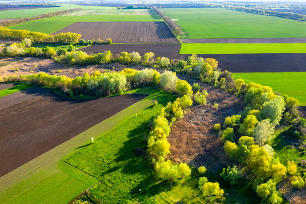 istock Aerial view to spring green fields and trees 1397608526