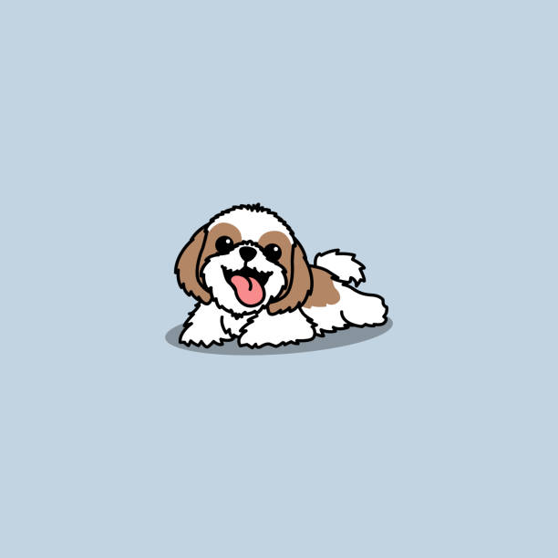 Funny shih tzu dog lying down cartoon, vector illustration Funny shih tzu dog lying down cartoon, vector illustration shih tzu stock illustrations