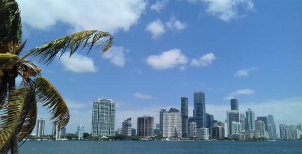 istock sunny day in miami 1397614141