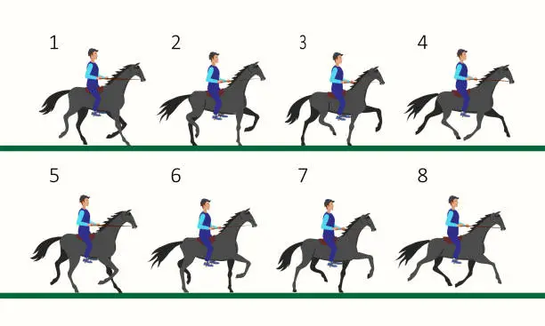 Vector illustration of The horse is trotting. Animation of a horse with a rider. Horseback Riding.