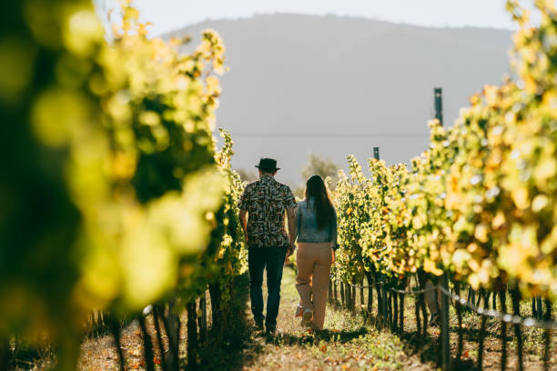 istock Couple walking in an organic vineyard 1397619768
