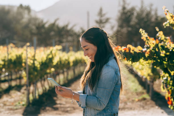 istock Smiling woman using cellphone in vineyard 1397619794