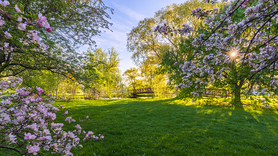 Scenic Dominion Arboretum of Ottawa in spring (panaromic aspect ratio)