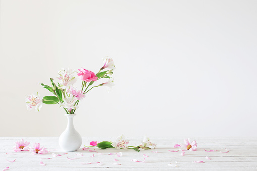 pink and white flowers in vase on white background