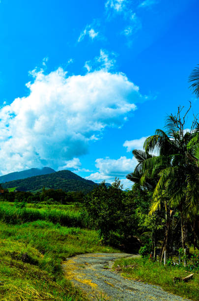 istock Country road 1397630386