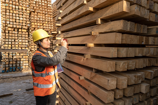 A Chinese female worker counts the quantity of wood in the wood warehouse
