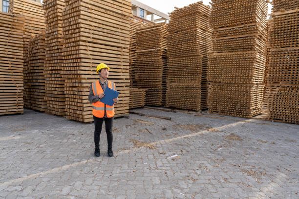 una magazziniera asiatica lavora nell'area di accatastamento del legno - materiale da costruzione foto e immagini stock