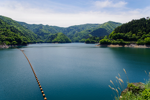 Lake Okutama where the fresh green shines