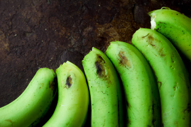 istock Close-up of green plantain. 1397634950