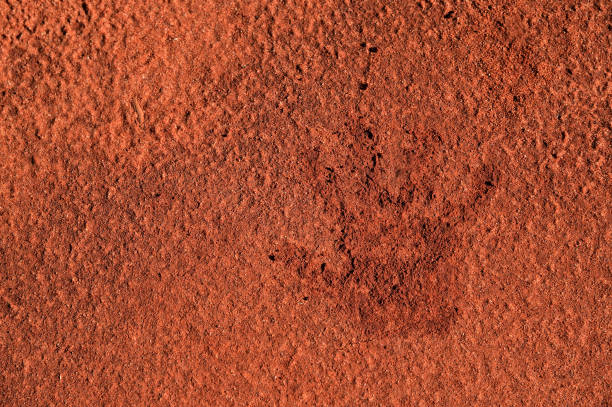 istock Human hand print on a red sand 1397635933
