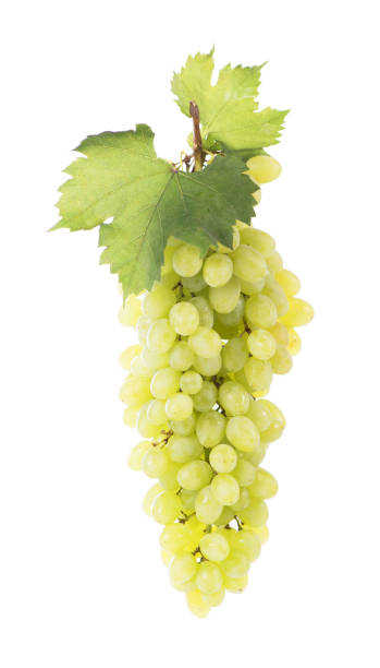 istock Grape cluster with leaves isolated on the white background 1397637070