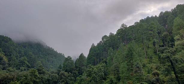 Natural beauty of Kainchi Dham, Nainital 
