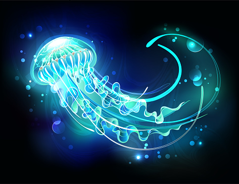 Artistically drawn, glowing jellyfish with long blue tentacles on black background. large jellyfish.