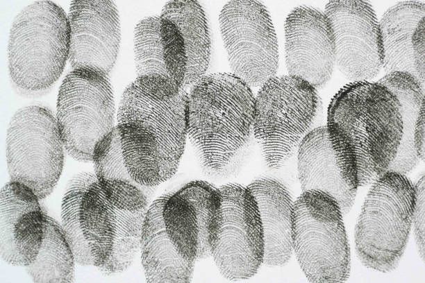 different black fingerprints on a paper close up