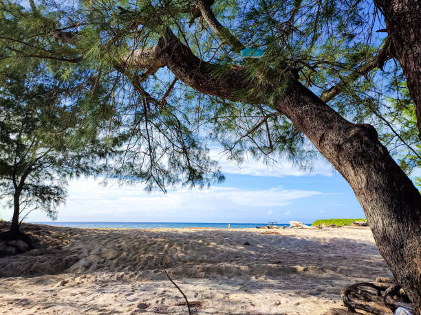 istock Puru Kambera beach - Sumba, May 2022 1397647920