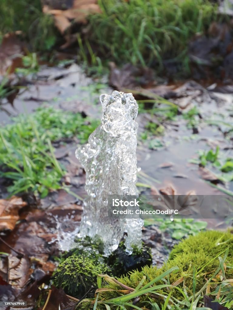 Fresh Water Spring Spring Fresh Water That Gushes From The Ground From A Spring Stock ...