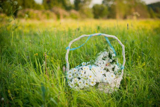 istock Large flower basket in the field, summer background. 1397654437