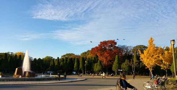 People enjoying the nice winter weather and the relaxing on the bench. Calming sunset light in the Osaka Castle Park. Osaka, Japan.