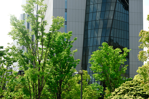 Low angle view of modern corporate buildings with greenery.
