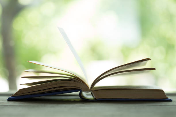 istock Open book on the wooden table, green summer background, education and reading concept 1397656511